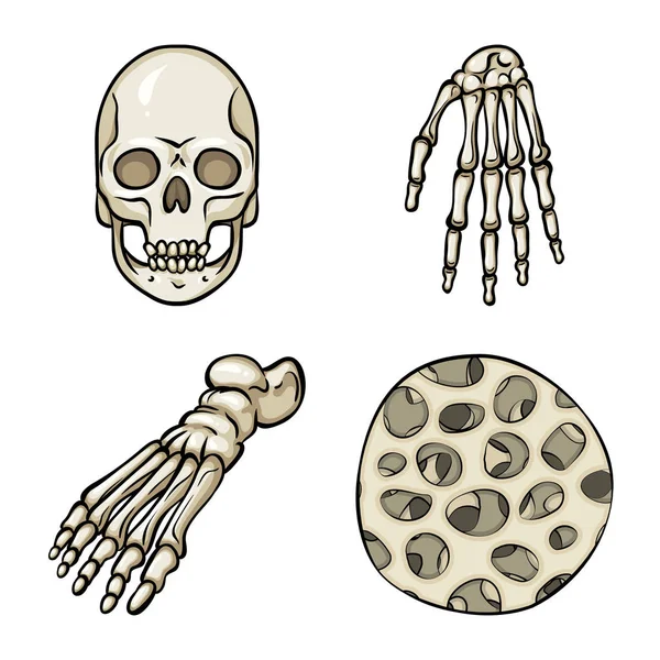 Векторный дизайн костно-скелетного знака. Набор векторных значков кости и человека для инвентаря . — стоковый вектор