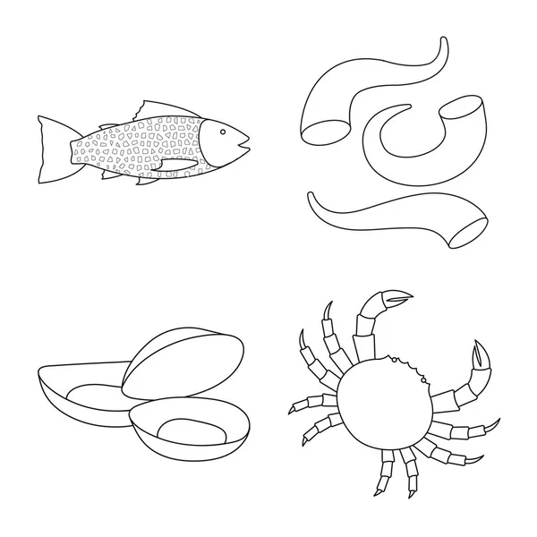 음식과 바다 상징의 벡터 디자인입니다. 음식과 건강 주식 벡터 일러스트 레이 션의 설정. — 스톡 벡터