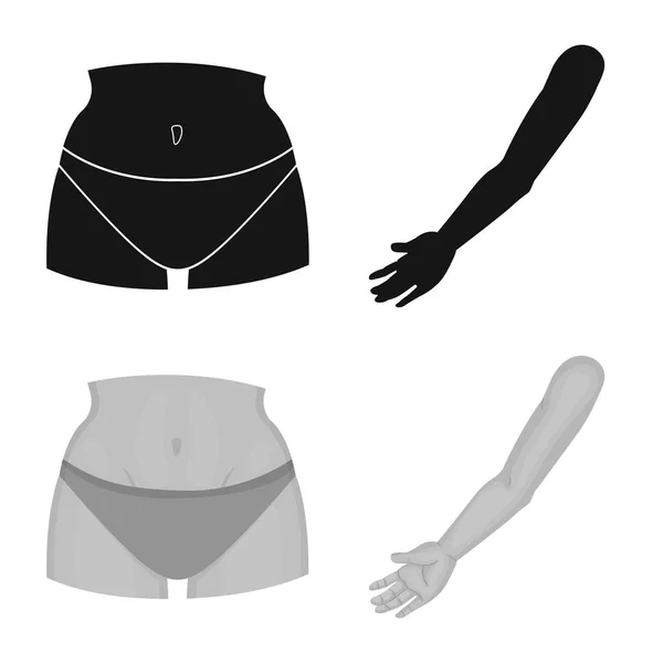 Geïsoleerde object van lichaam en deel symbool. Set van lichaam en anatomie vector pictogram voor voorraad. — Stockvector