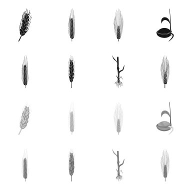 Tarım ve Tarım logosu yalıtılmış nesne. Tarım ve bitki hisse senedi vektör çizim seti.