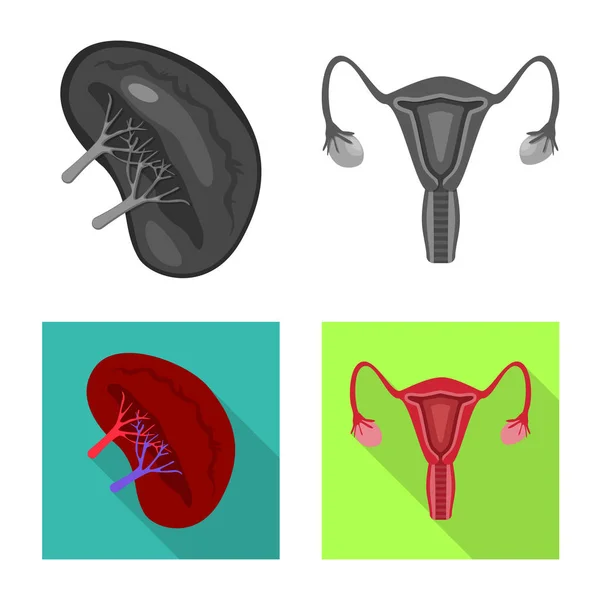 Illustrazione vettoriale di biologia e segno scientifico. Set di icone biologiche e vettoriali di laboratorio per stock . — Vettoriale Stock