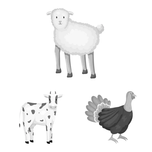 Illustration vectorielle de la propriété et du symbole agricole. Ensemble d'illustration vectorielle de stock de ferme et de cuisine . — Image vectorielle