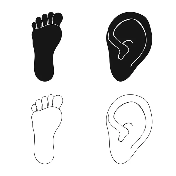 Geïsoleerde object van lichaam en deel logo. Set van lichaam en anatomie vector pictogram voor voorraad. — Stockvector