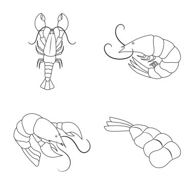 Gıda ve deniz simge vektör Illustration. Gıda ve hayvan vektör simgesini hissenin koleksiyonu.