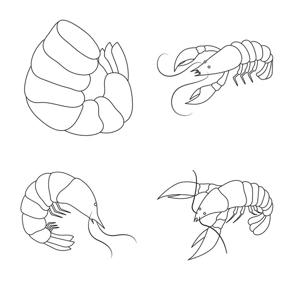 Conception vectorielle de la nourriture et logo de la mer. Ensemble d'icônes vectorielles pour aliments et animaux pour stock . — Image vectorielle