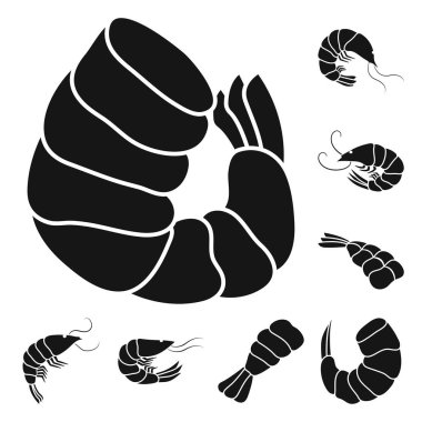 Et ve incelik sembolünün vektör tasarımı. Stok için et ve Yengeç vektör simgesi seti.