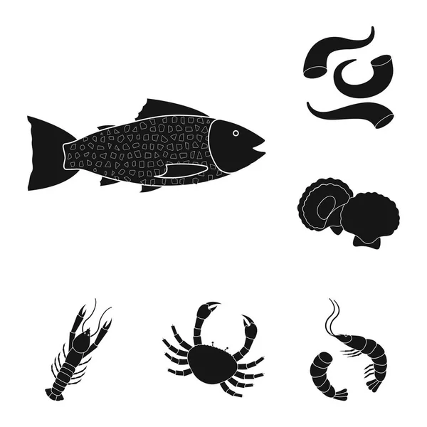 Ilustración vectorial de mercado y signo marino. Colección de mercado y símbolo de stock de mar para web . — Archivo Imágenes Vectoriales