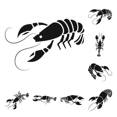 Et ve incelik simgesi izole nesne. Web için et ve yengeç stok sembolü koleksiyonu.