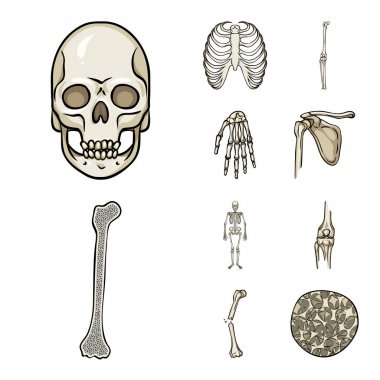 Kemik ve iskelet logo vektör tasarımı. Kemik ve insan stok vektör çizim koleksiyonu.