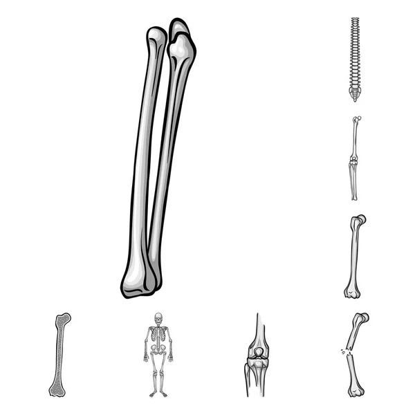 Vektordesign von Biologie und medizinischem Symbol. Sammlung von Biologie und Skelettsymbol für Web. — Stockvektor