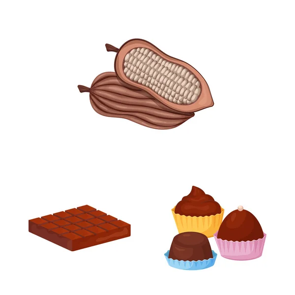 Isolerade objekt av kakao och bönor tecken. Samling av kakao och sötma aktiesymbol för webben. — Stock vektor