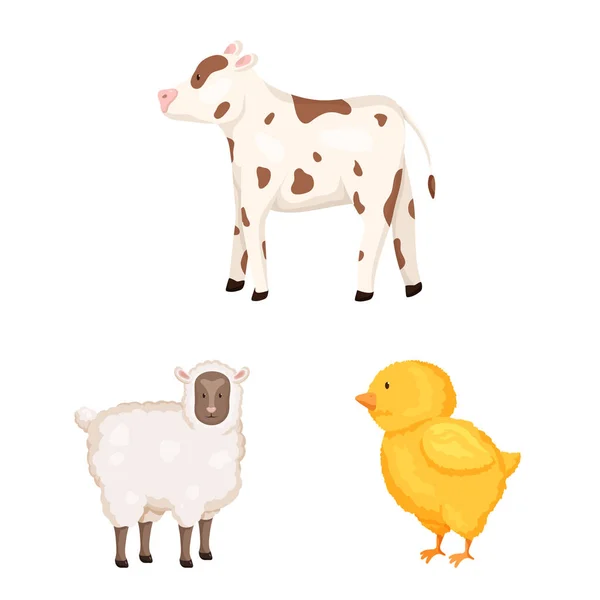 Vector ontwerp van boerderij en voedsel symbool. Set van boerderij en platteland vector pictogram voor voorraad. — Stockvector