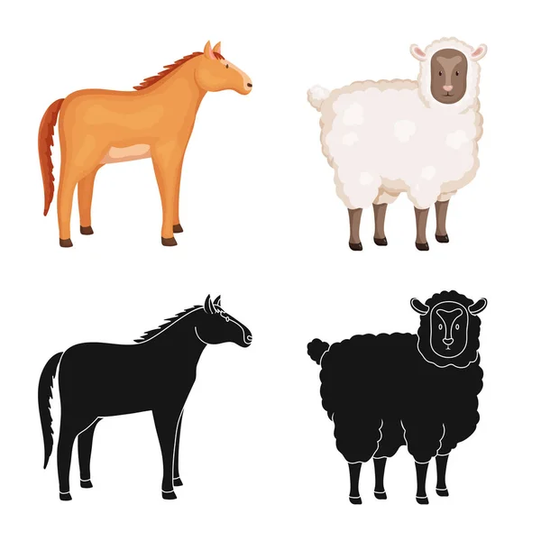 Conception vectorielle de l'élevage et logo de la cuisine. Ensemble d'illustration vectorielle de l'élevage et du bétail biologique . — Image vectorielle