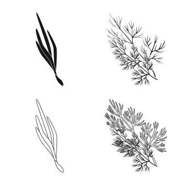 Tat ve ürün logosu yalıtılmış nesne. Zevkli ve hisse senedi için pişirme vektör simgesi ayarla.