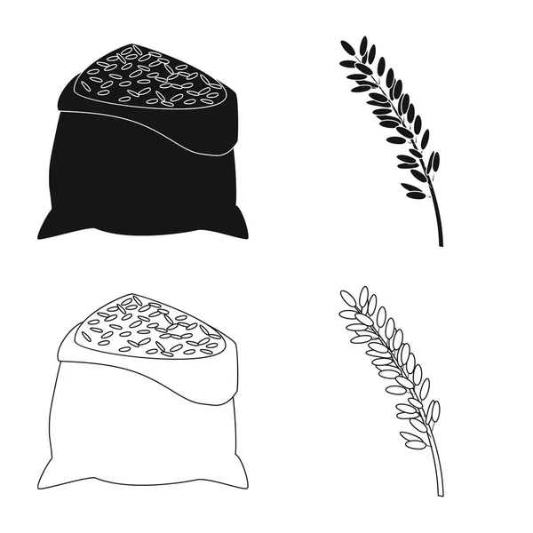 Objeto aislado de cultivo y signo ecológico. Conjunto de ilustración de vectores de cultivos y caldos de cocina . — Vector de stock