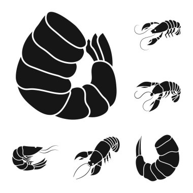 Et ve incelik simgesi izole nesne. Stok için et ve yengeç vektör simgesi seti.