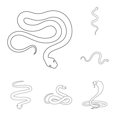 Yalıtılmış nesne bir zehir ve kötü işaret. Zehir kümesi ve ısırık hisse senedi vektör çizim.