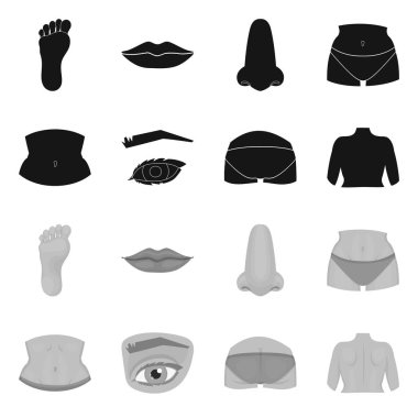 Vücut ve parçası sembol yalıtılmış nesne. Vücut ve anatomi hisse senedi simgesi için web topluluğu.