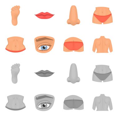 Vücut ve bölümü simge vektör Illustration. Hisse senedi için vücut ve anatomi vektör simge topluluğu.