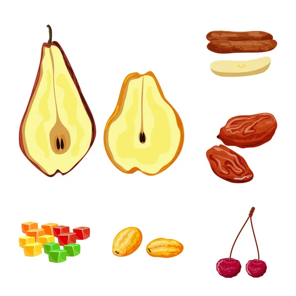 Geïsoleerd voorwerp van fruit en gedroogd symbool. Set van fruit en Food Stock vector illustratie. — Stockvector