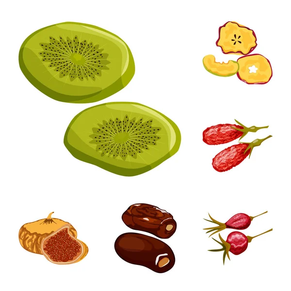 Vektorová design ovoce a sušených ikonu. Sběr ovoce a potravin vektorové ikony pro stock. — Stockový vektor