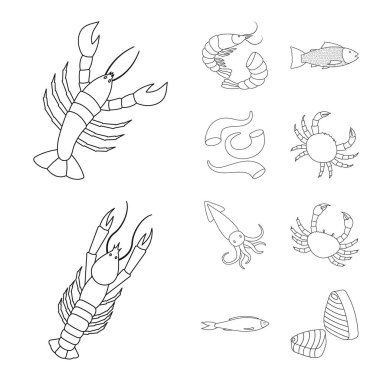 İzole işareti gıda ve deniz nesne. Gıda ve sağlıklı vektör simgesini hissenin koleksiyonu.