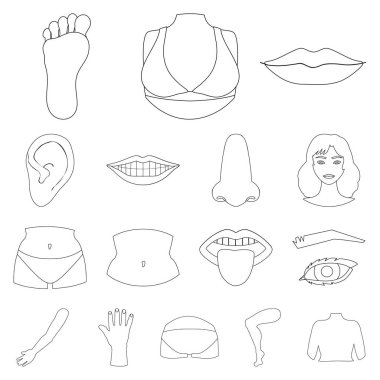 Vücut ve bölümü logo vektör tasarımı. Hisse senedi için vücut ve anatomi vektör simge topluluğu.