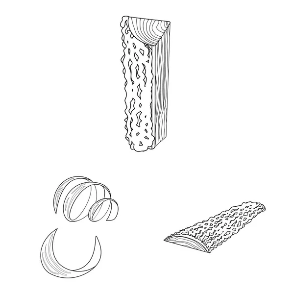 Conception vectorielle du panneau et de l'icône en bois. Collection d'enseignes et de symboles en bois pour toile . — Image vectorielle