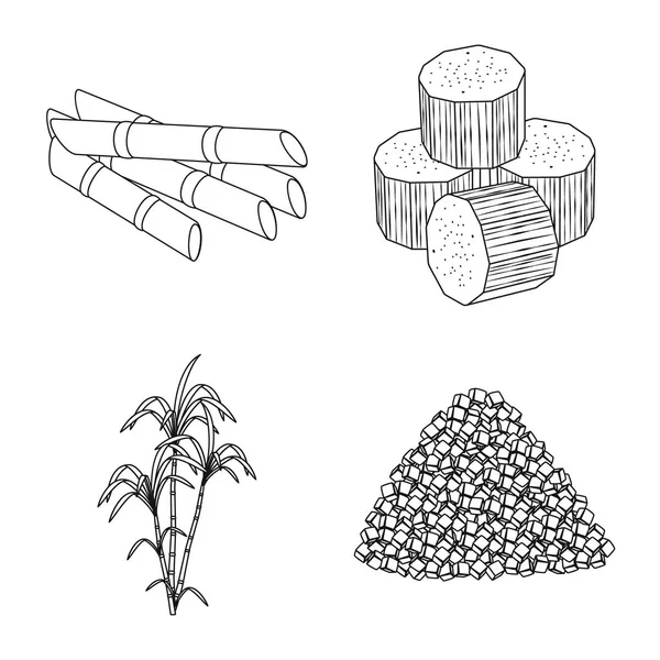 Illustrazione vettoriale dello zucchero e logo del campo. Raccolta dell'icona del vettore dello zucchero e della piantagione per lo stock . — Vettoriale Stock