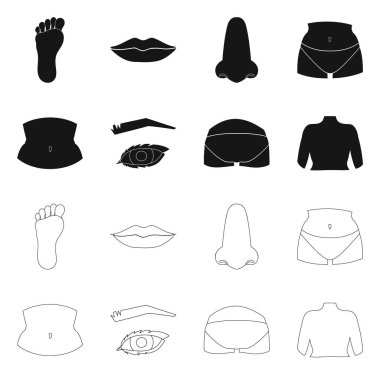 Vücut ve bölümü simge vektör tasarımı. Vücut ve anatomi hisse senedi simgesi için web topluluğu.