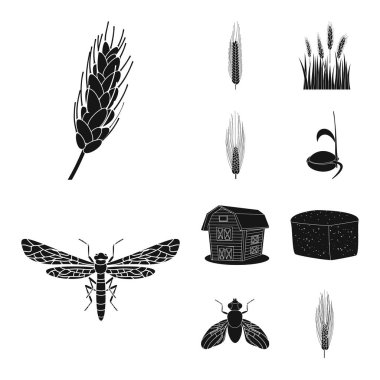 Çavdar ve bitki simge vektör Illustration. Çavdar ve Mısır hisse senedi simgesi için web topluluğu.