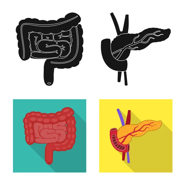 生物学、科学記号の孤立したオブジェクト。生物学研究所の株式ベクトル イラスト集. — ストックベクタ