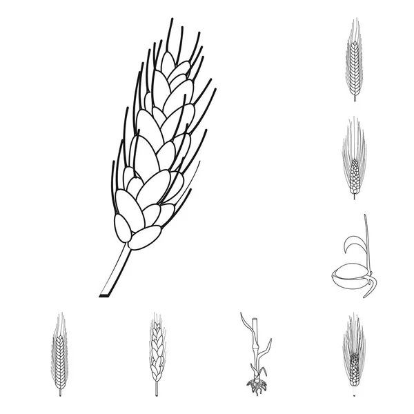 Projeto vetorial da agricultura e logotipo da agricultura. Coleta de símbolo de estoque agrícola e vegetal de web . — Vetor de Stock