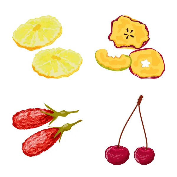 Ilustración vectorial de fruta e icono seco. Conjunto de frutas y alimentos símbolo de reserva para la web . — Vector de stock