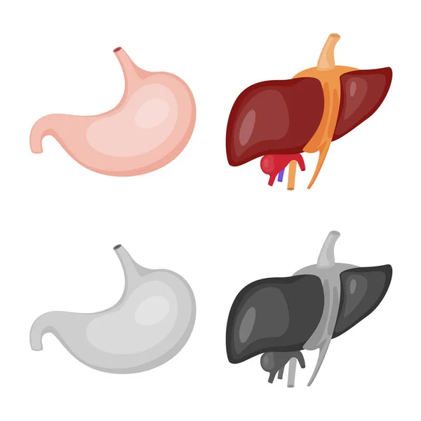 Ilustración vectorial de la biología y símbolo científico. Colección de biología y vector de laboratorio icono para stock . — Archivo Imágenes Vectoriales