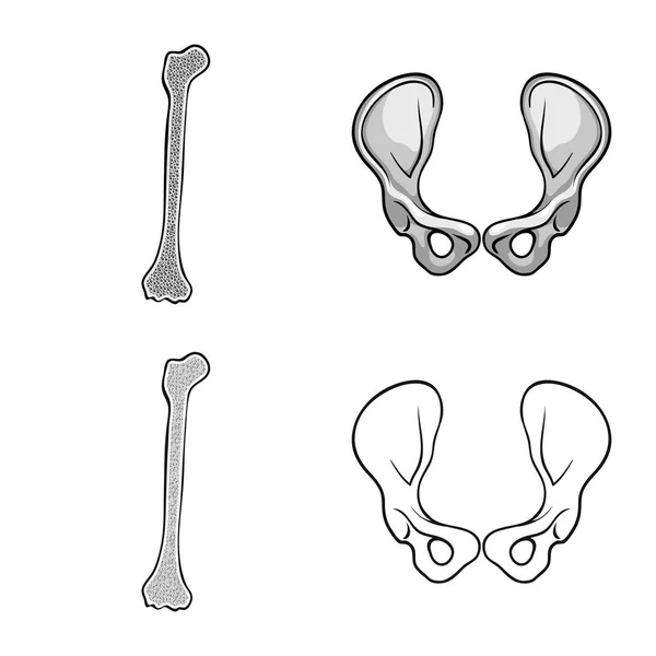 Ilustração vetorial da medicina e símbolo da clínica. Conjunto de medicina e ilustração do vetor de estoque médico . — Vetor de Stock