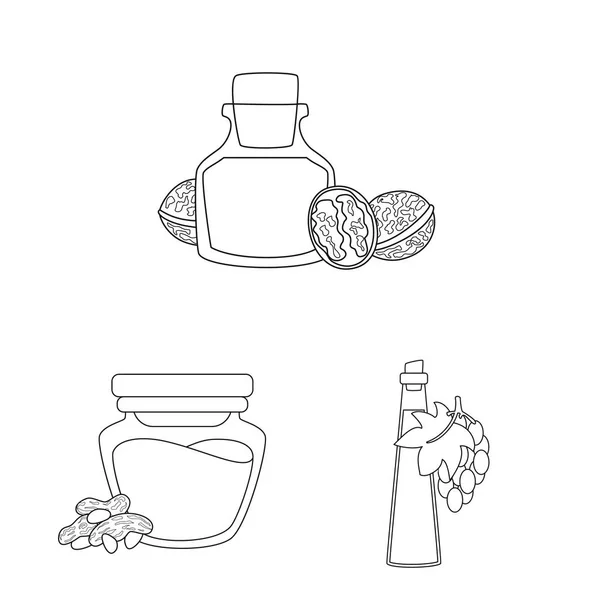 Ilustración vectorial del icono saludable y vegetal. Colección de ilustración de vectores de stock sanos y orgánicos . — Vector de stock