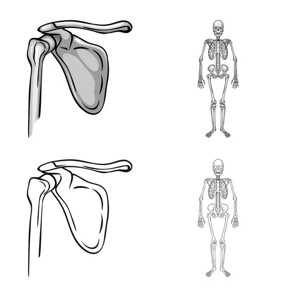 医学と診療所アイコンのベクター デザイン。医学と医療の株式ベクトル イラスト集. — ストックベクタ