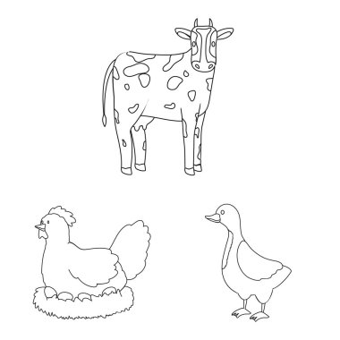 Ev yapımı ve kırsal sembolüvektör illüstrasyon. Web için ev yapımı ve tarım stok sembolü seti.