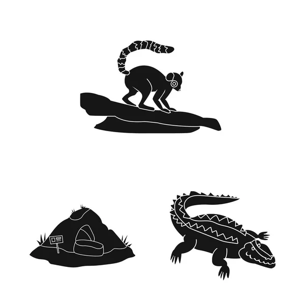 Diseño vectorial del logotipo de la fauna y el entretenimiento. Colección de fauna y parque stock vector ilustración . — Archivo Imágenes Vectoriales