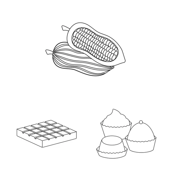 Isolierte Objekt von Kakao und Bohnen Symbol. Set aus Kakao und Süßigkeitsvektorsymbol für Aktien. — Stockvektor