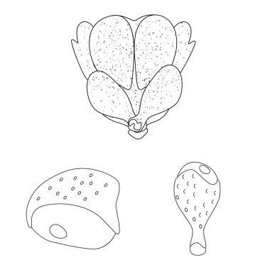 Gıda vektör tasarımı ve ızgara sembolü. Stok için yiyecek ve kuş vektör simgesi kümesi.