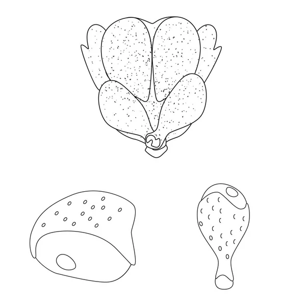 Diseño vectorial de comida y símbolo a la parrilla. Conjunto de alimentos y aves vector icono para stock . — Archivo Imágenes Vectoriales