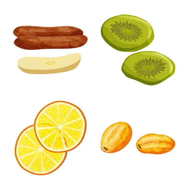 Desenho vetorial de fruta e símbolo seco. Coleta de fruto e símbolo de estoque de comida de web . — Vetor de Stock