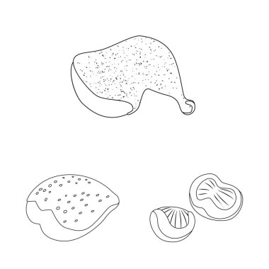 Gıda ve ızgara sembolü vektör illüstrasyon. Gıda ve kuş stok vektör illüstrasyon seti.