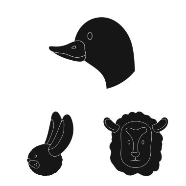 Çiftlik ve organik simge vektör illüstrasyon. Çiftlik ve baş stok vektör illüstrasyon koleksiyonu.