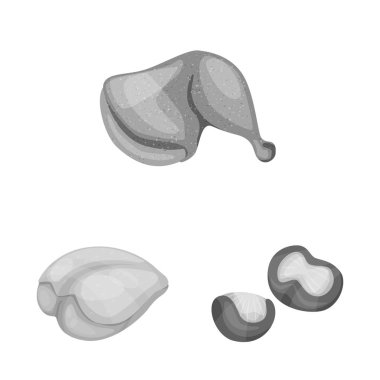 Mutfağın izole nesnesi ve kuş logosu. Stok için mutfak ve kümes vektör simgesi seti.