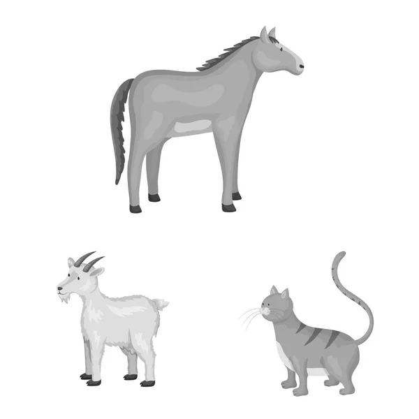 Illustrazione vettoriale del simbolo della fattoria e dell'agricoltura. Set di fattoria e cucina stock simbolo per il web . — Vettoriale Stock