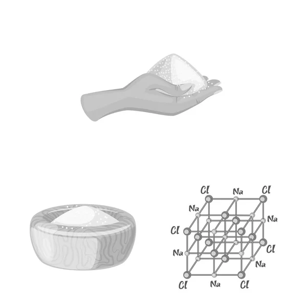 塩と食品のシンボルのベクター デザイン。株式の塩および鉱物のベクター アイコンのセット. — ストックベクタ