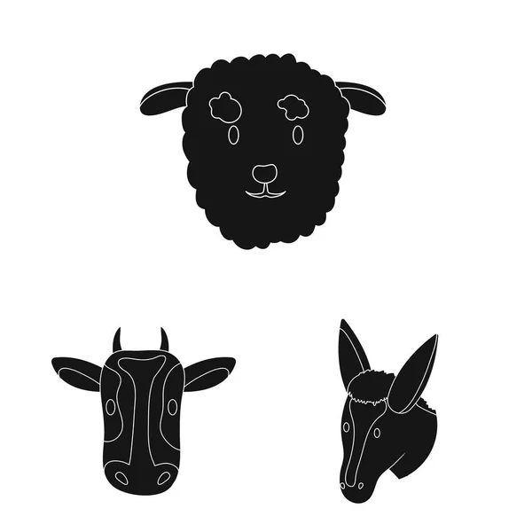 Ilustração vetorial de rancho e logotipo orgânico. Conjunto de rancho e cabeça símbolo de estoque para web . — Vetor de Stock